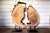 Contemporary Indra Collection Yakisugi Modern Organic Wood Sculpture - Set of 2 For Sale - Image 4 of 10
