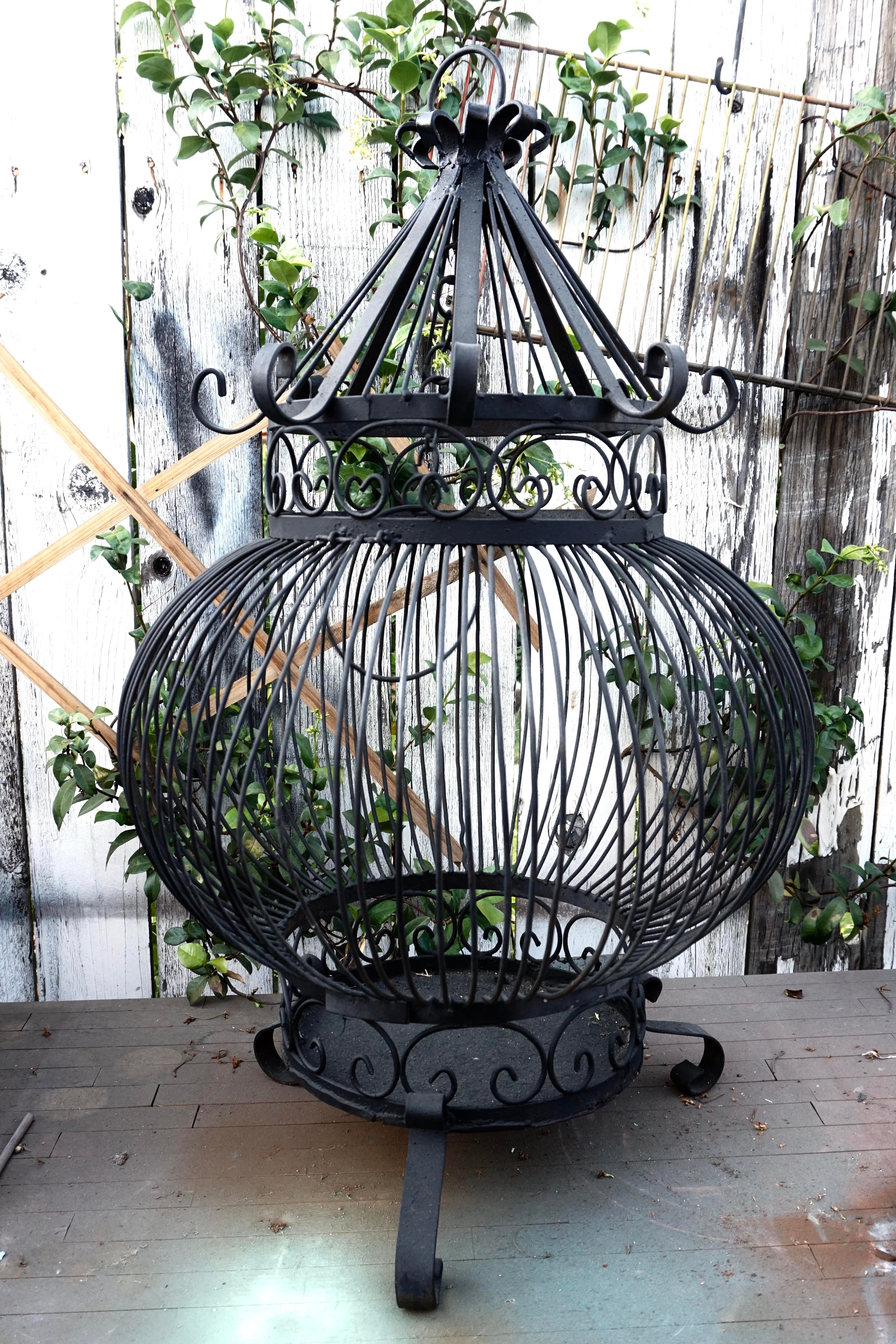 large hanging bird cage