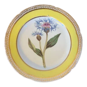 Antique 18th Century Derby Porcelain Botanical Plate Decorated With Hand Painted Specimen - Greater Blue Bottle on Yellow Ground