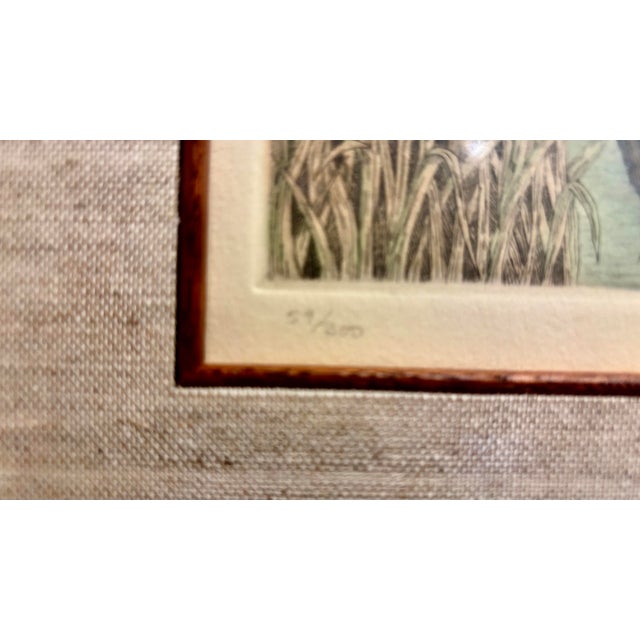 1980s Rachel H. Badeau Original Wood Duck Wildlife Etching Hand Painted Inlaid Frame For Sale - Image 4 of 9