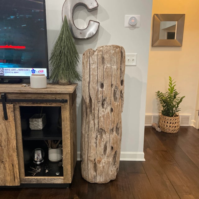 2006 Driftwood Sculpture For Sale - Image 10 of 13