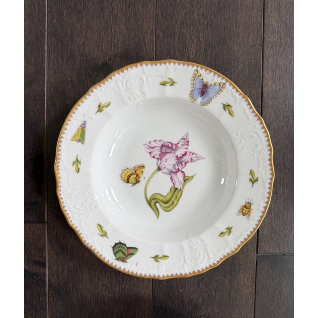 Set of 10 Anna Weatherley Botanical Treasure Garden Rim Soup Bowl 8.75" For Sale - Image 9 of 17