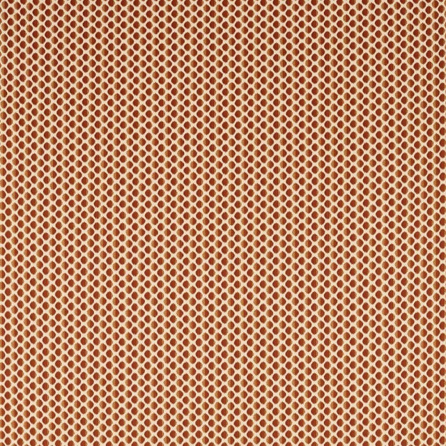 Zoffany Seymour Spot Fabric in Amber For Sale