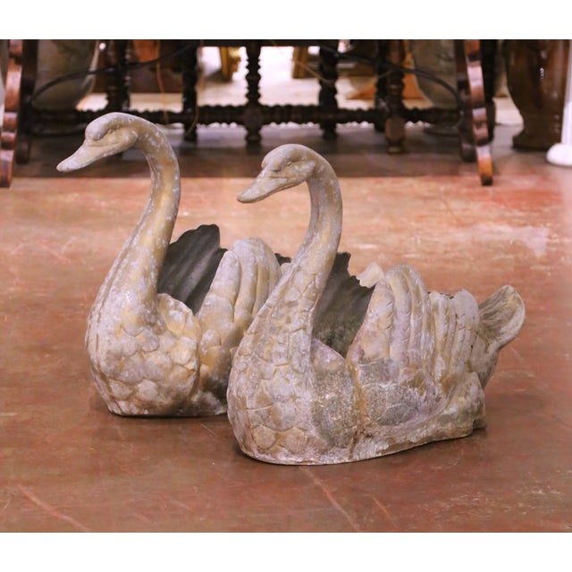 Mid 20th Century Pair of Mid-Century French Cast Metal Swan Garden Planters With Patina and Gilt For Sale - Image 5 of 10