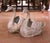 Mid 20th Century Pair of Mid-Century French Cast Metal Swan Garden Planters With Patina and Gilt For Sale - Image 5 of 10