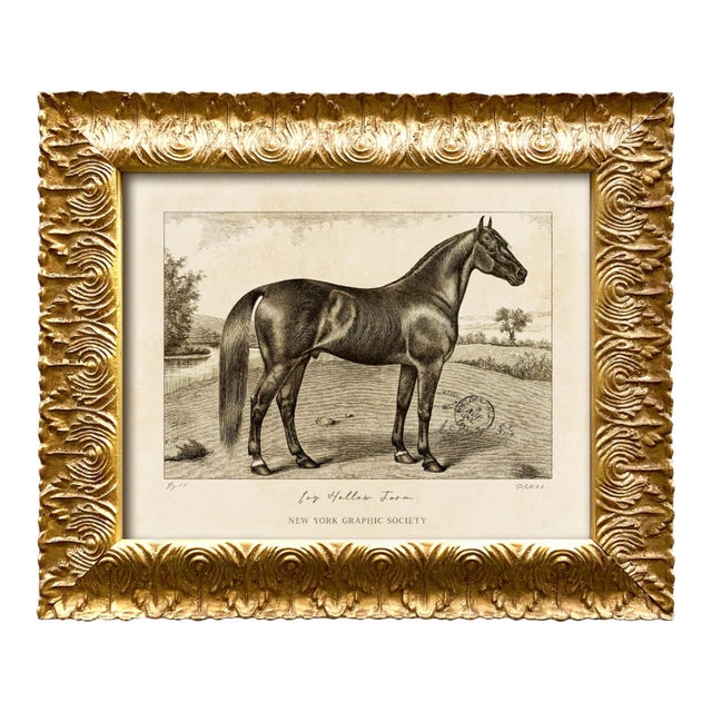 Reproduction Art Print of Vintage Horse (2) in Ornate Gold Frame For Sale