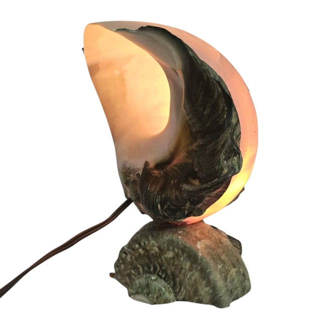 1970s Tahitian Turbo Marmoratus Mother-of-Pearl Shell Mood Lamp For Sale - Image 13 of 16