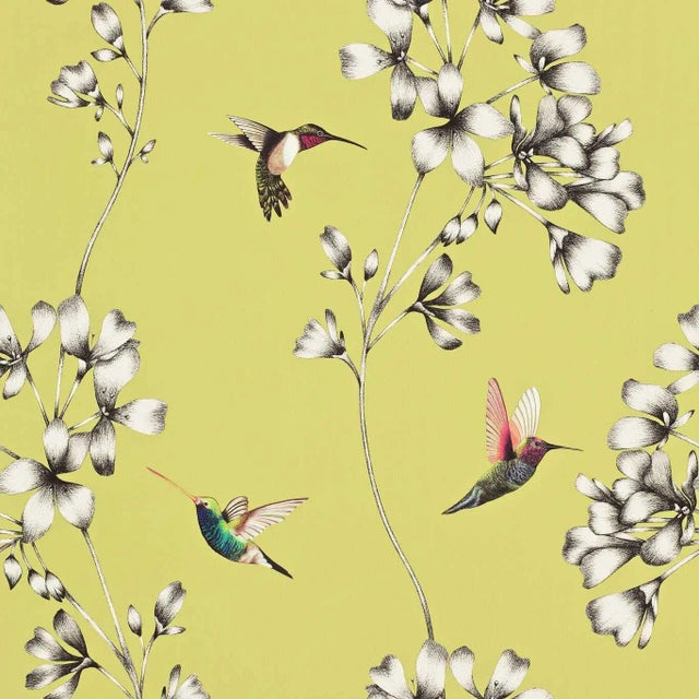 Harlequin Amazilia Wallpaper in Gooseberry For Sale