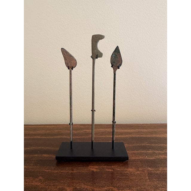 Collection of Twelve Ancient Roman Bronze Medical Instruments on Custom Museum Mounts For Sale - Image 10 of 12