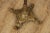 Vintage Brass Lyre Music Stand For Sale In Philadelphia - Image 6 of 12