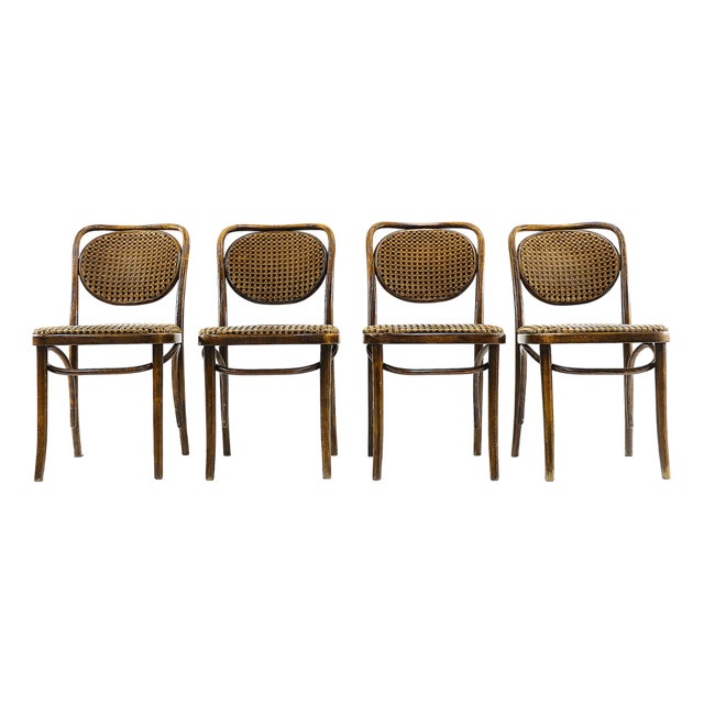 Vintage Bentwood Chairs in the style of Thonet, 1970s, Set of 4 For Sale