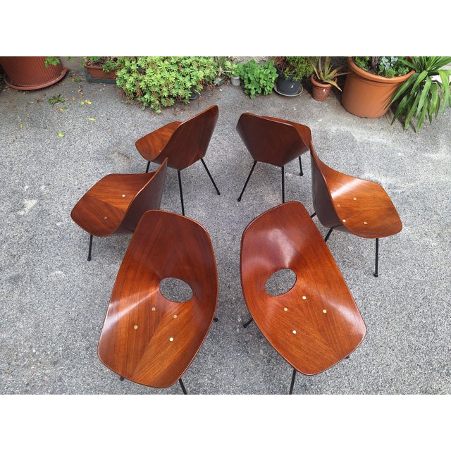 Chairs by Vittorio Nobili for Medea, 1950s, Set of 6 For Sale - Image 6 of 14