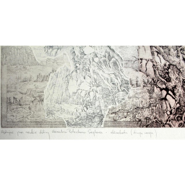 Early 21st Century Krzysztof Wieczorek, Wandering Through Herkules Peterszon Seghers' Wide Valleys, Etching on Paper, 2011 For Sale - Image 5 of 9