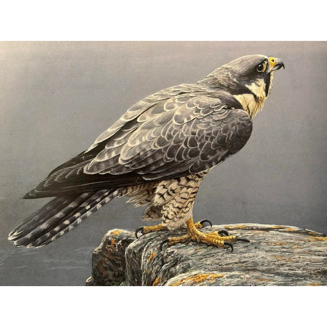 American Robert Bateman, an Artist in Nature For Sale - Image 3 of 6