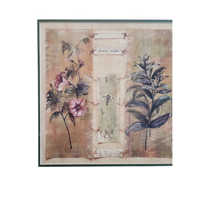 Excellent condition vintage Paul Hargitai botanical print, "Hibiscus". circa 2000, double matted in gilt frame. Measures...