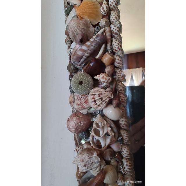 Vintage Handcrafted California Seashell Mirror For Sale - Image 16 of 18