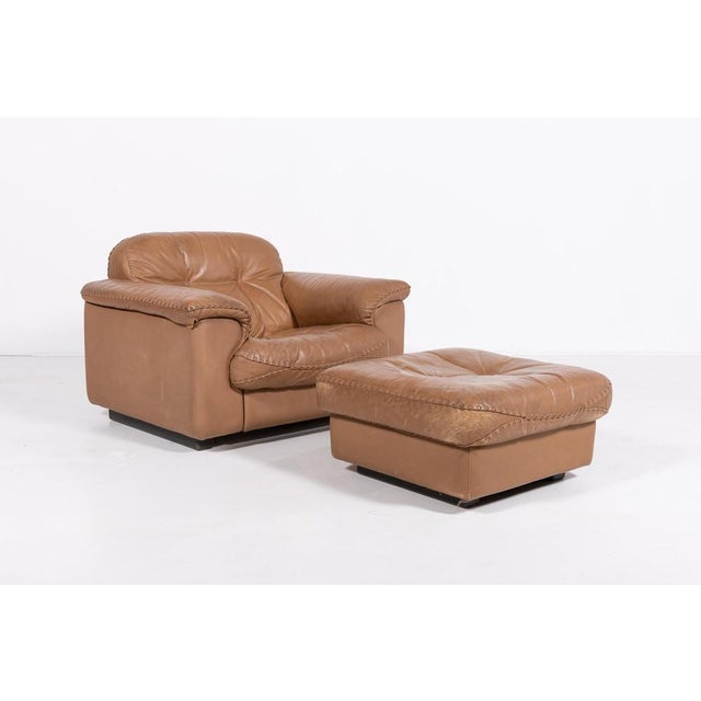 Animal Skin Ds 101 Brown Leather Lounge Chairs from de Sede, 1970s For Sale - Image 7 of 16