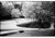 Not Yet Made - Made To Order Paul Cooklin, Park, Edition of 50 For Sale - Image 5 of 5