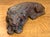 Vintage Hand Carved Lion For Sale - Image 11 of 12