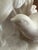 White Vintage Mid 20th Century White Bisque Porcelain Pheasants Figurine For Sale - Image 8 of 9