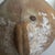 Ancient Amphorae Pottery Vessels - a Pair For Sale In Seattle - Image 6 of 13