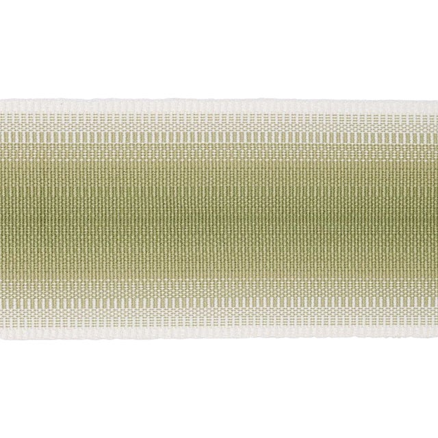 Schumacher Belton Tape in Green For Sale