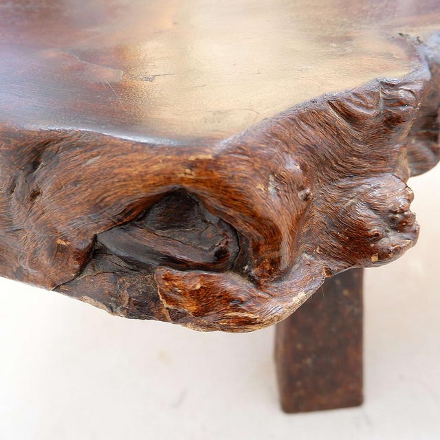 Large Mid-Century Brutalist Live Edge Coffee Table, 1950s For Sale - Image 15 of 16
