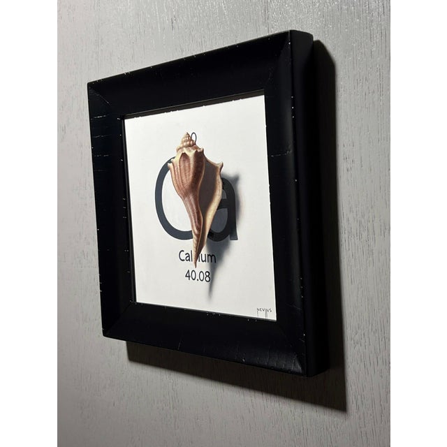 Contemporary Calcium by Patrick Nevins | Oil on Board Shell with chemical symbol for calcium For Sale - Image 3 of 3
