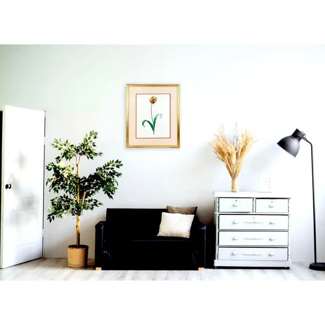 Vintage Hand-Painted Plant Specimen Watercolor Tulip Specimen (With Frame). Signed in the Lower Right Corner For Sale - Image 10 of 11