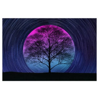 Andriy Onufriyenko, Stars Trail, Photograph For Sale