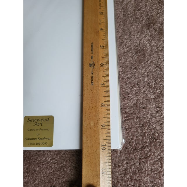 Late 20th Century Matted Seaweed Giclée Prints Artist Signed - Set of 4 For Sale - Image 9 of 12