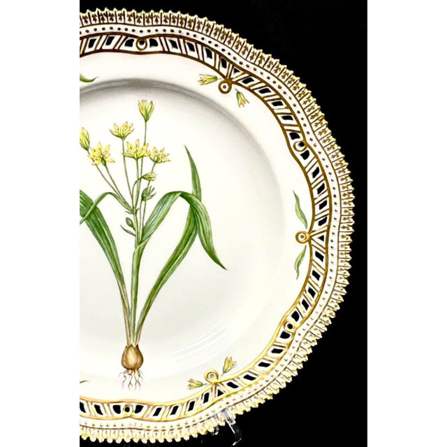 Royal Copenhagen Flora Danica Porcelain Plate, Gagea lutea var. glaucascens Lge, with Pierced Gilt Border. Each plate in...