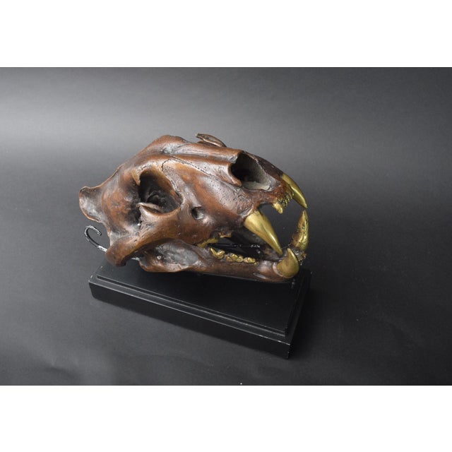 Black Big Cat Skull Sculpture on Black Display Stand, 1990s For Sale - Image 8 of 10