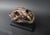 Black Big Cat Skull Sculpture on Black Display Stand, 1990s For Sale - Image 8 of 10