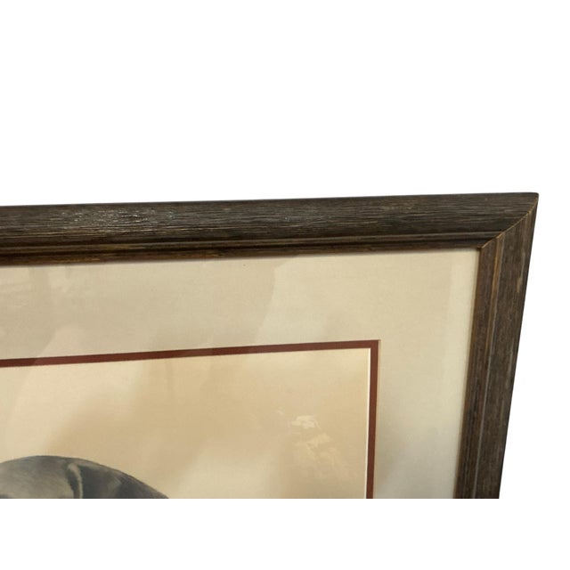 Mid 20th Century Louis Frisino Signed Limited Edition Chocolate Labrador Retriever Print #577/600 For Sale - Image 5 of 7