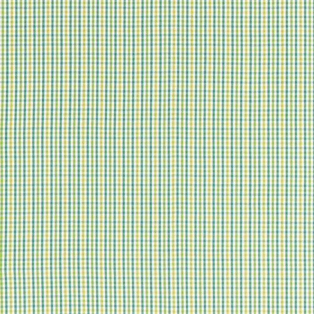 A classic, small-scale plaid, Bahama Check is a charming and versatile pattern. It can be a room's leading story or a...