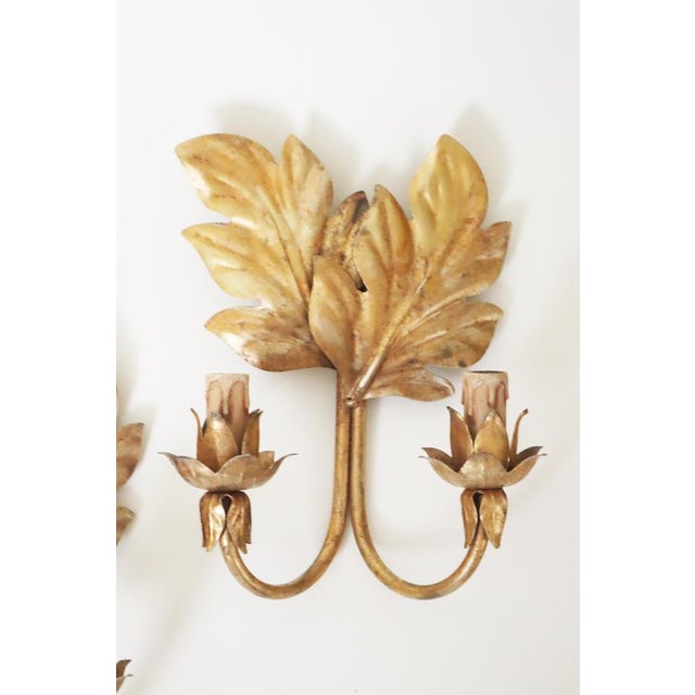 Hollywood Regency Hollywood Regency Gilt Acanthus Leaf Wall Lights, 1950s, Set of 3 For Sale - Image 3 of 17