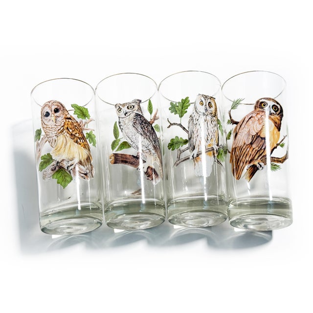 Bring a touch of woodland charm to your vintage bar with this delightful set of eight owl highball glasses. Each glass...