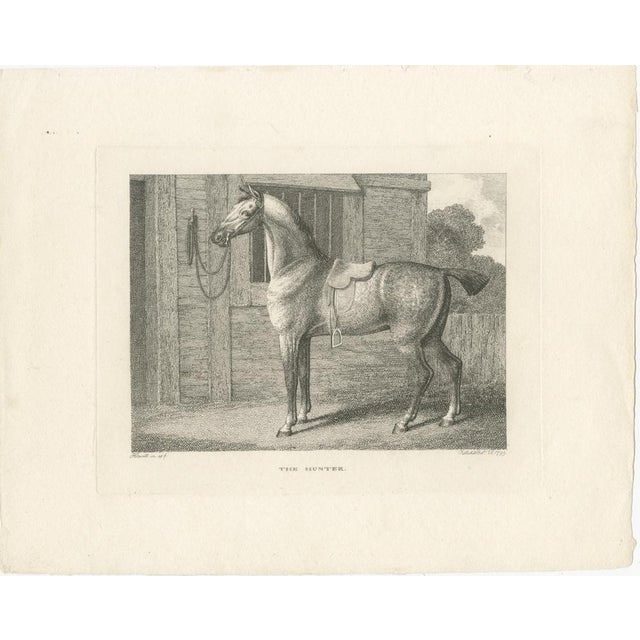 Samuel Howitt, The Hunter, 1799, Engraving For Sale - Image 3 of 9