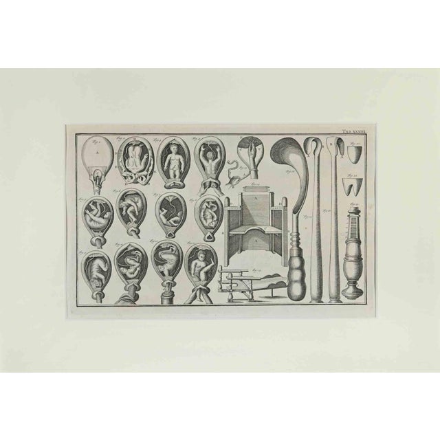 Lorenz Heister, Surgical Instruments, Etching, 1750 For Sale - Image 3 of 3