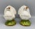 Italian Mid Century Italian White Dove Birds - a Pair For Sale - Image 3 of 13