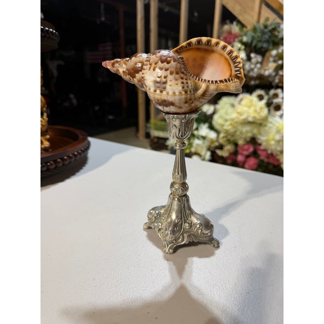 2020s Celestial Meets the Sea Silver Plate Candlestick With Shell-Coastal Art Sculpture For Sale - Image 5 of 6