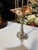 2020s Celestial Meets the Sea Silver Plate Candlestick With Shell-Coastal Art Sculpture For Sale - Image 5 of 6