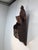 Antique Gothic Trefoil Walnut Donation Box With Lockable Swing Lid For Sale In Philadelphia - Image 6 of 18