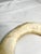 Antique Mounted New Guinea Abelam Currency Shell Rings- a Set of 3 For Sale - Image 4 of 12
