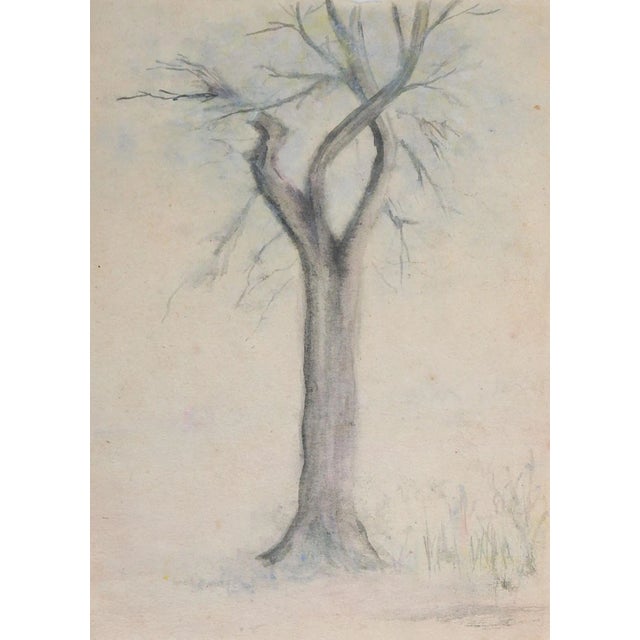 Small Vintage Lone Tree in Winter Watercolor Painting For Sale