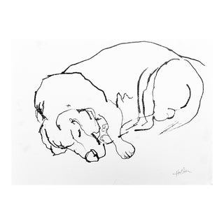 Martha Holden "Sleeping Beagle" Contemporary Ink on Paper For Sale