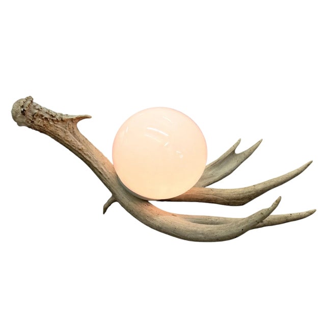 Beige Deer Antler Lamp For Sale - Image 8 of 12