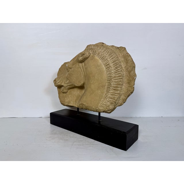 Tan Mid 20th Century Horse Head Casted Sculpture For Sale - Image 8 of 12