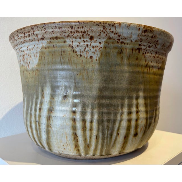 Large ceramic bowl came from a Cranbrook School Estate. Natural Interiors, textures.